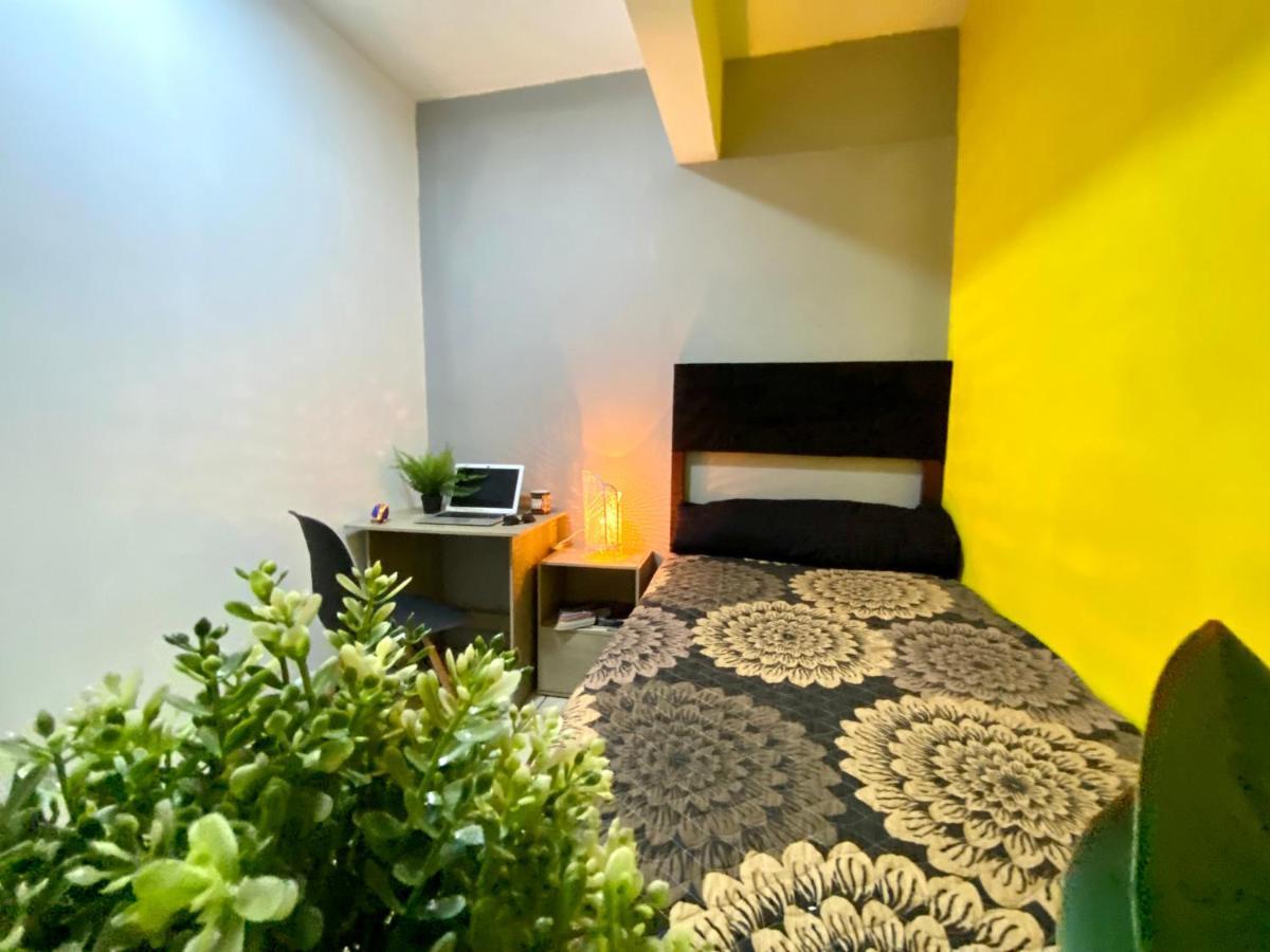 Roomies Hostel - Santa Maria La Ribera Мехико Экстерьер фото